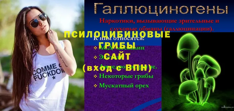 Псилоцибиновые грибы Magic Shrooms  Бахчисарай 